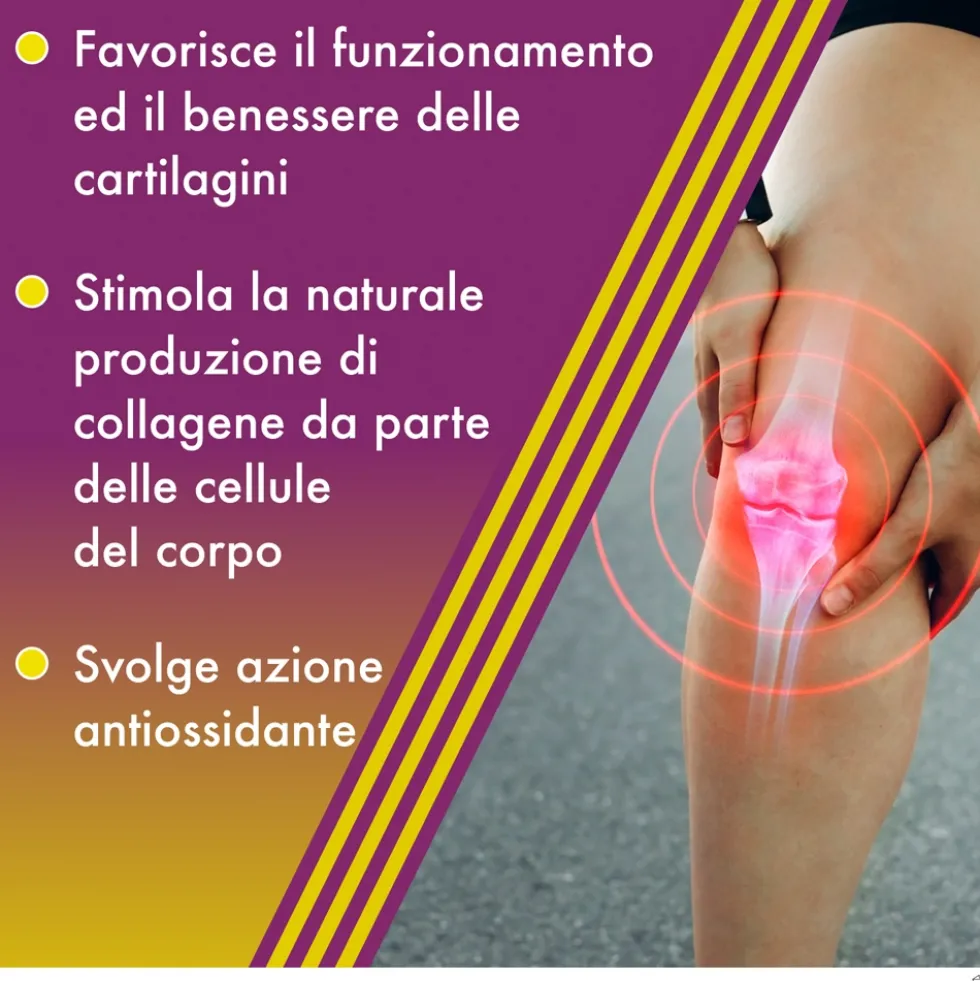 Alfasigma Amedial Plus - Integratore alimentare per le ossa e le cartilagini, 20 bustine da 5 g