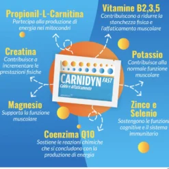Alfasigma Carnidyn Fast - Integratore per il tono muscolare e il reintegro idrosalino, 12 bustine