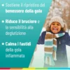 Alfasigma NeoBorocillina Gola Junior Gusto Cola - Pastiglie gommose per il mal di gola, 15 pastiglie
