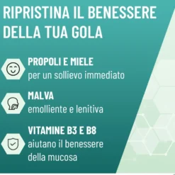 Alfasigma NeoBorocillina Propolmiele+ Gola Gusto Miele e Eucalipto, 16 Pastiglie