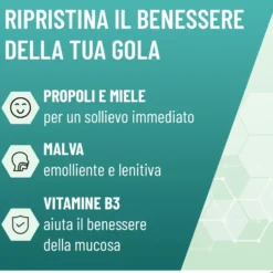 Alfasigma NeoBorocillina Propolmiele+ Spray Gola Gusto Miele Eucalipto, 20ml
