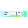 Allium cepa Boiron 6CH Medicinale Omeopatico, 80 granuli 4g