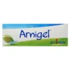 Arnigel Arnica montana TM 7% Medicinale Omeopatico in Gel, 120g