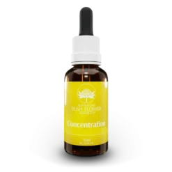 Australian Bush Flower Concentration - Eessenze floreali per la concentrazione, 30 ml