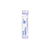 Boiron Apis Mellifica 30CH - Medicinale omeopatico per punture d'insetto e allergie, 80 granuli