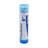 Boiron Arnica Montana 9 CH - Granuli omeopatici per traumi e contusioni, tubo multidose da 4 g