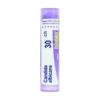 Boiron Candida Albicans 30CH Rimedio Omeopatico in Granuli, 4g