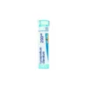 Boiron Lycopodium Clavatum 200 CH - Medicinale omeopatico per uso orale, 80 granuli
