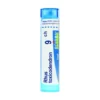 Boiron Rhus Toxicodendron 9CH Rimedio Omeopatico in Granuli, 4g