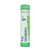 Boiron Rhus Toxicodendron 5 CH - Granuli ad azione antinfiammatoria e antidolorifica, 4 g