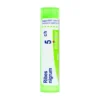 Boiron Ribes Nigrum 5CH Rimedio Omeopatico in Granuli, 4g