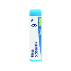 Boiron Thuya Occidentalis 9CH - Globuli omeopatici per l'equilibrio dell'organismo, tubo da 4 g