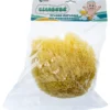 Budetta Farma CliaBebè Spugna Naturale del Mar Mediterraneo Misura 14, 1 Pezzo