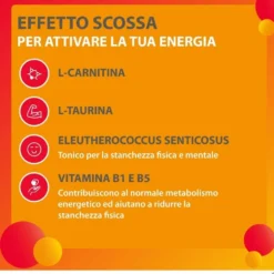 Carnidyn Boost Pronta Energia - Integratore alimentare per l'energia fisica e mentale, 10 flaconcini
