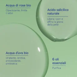 Caudalie Vinopure - Lozione Purificante all'Acido Salicilico, 400ml