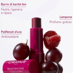 Caudalie Vinotherapist - Balsamo Labbra Colorato, 4,5g