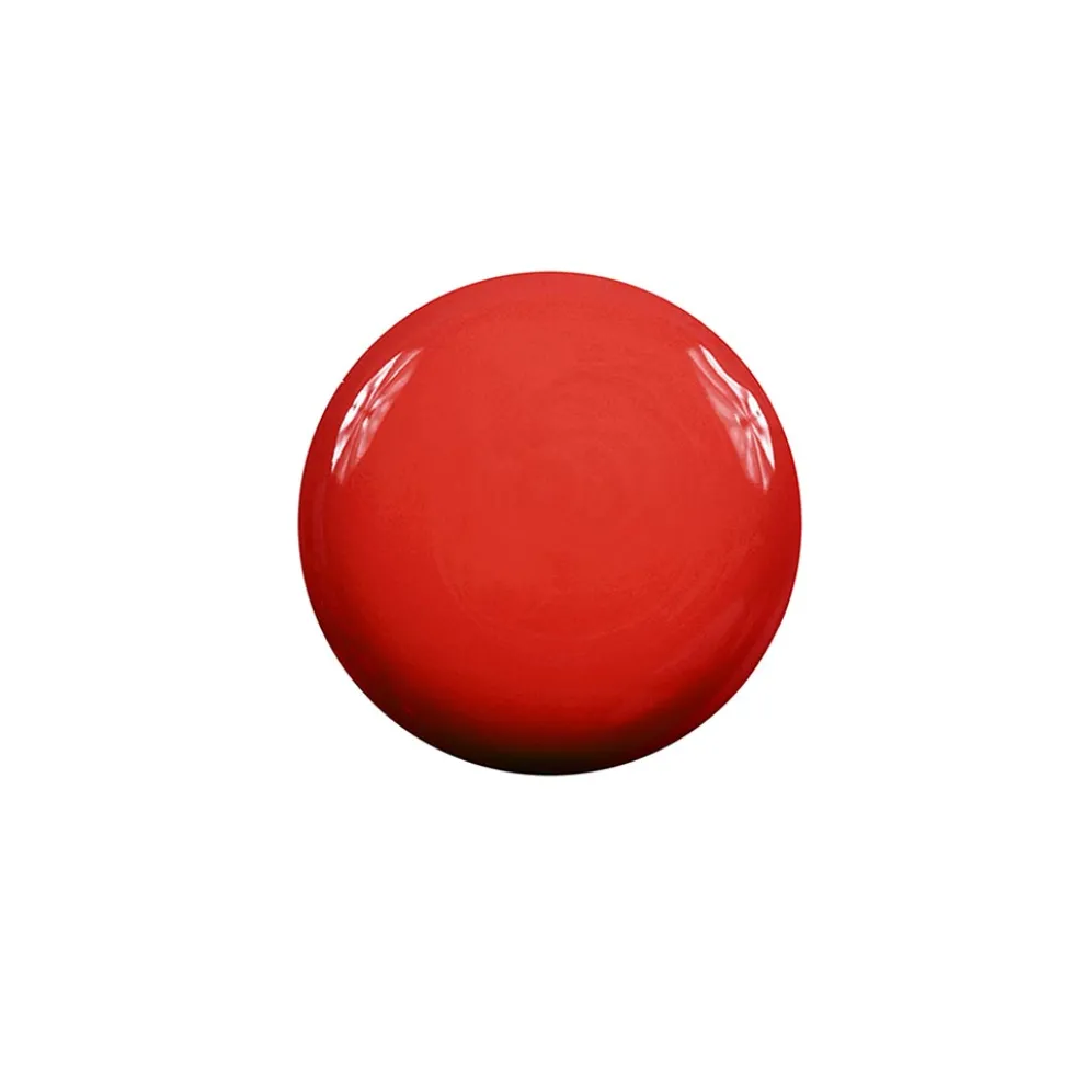 Diego dalla Palma Smalto rosso passione n. 224 - Smalto per unghie lucido a lunga tenuta, 14 ml
