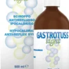 DMG Gastrotuss Light - Sciroppo ipocalorico per il trattamento del reflusso gastrico, 500 ml