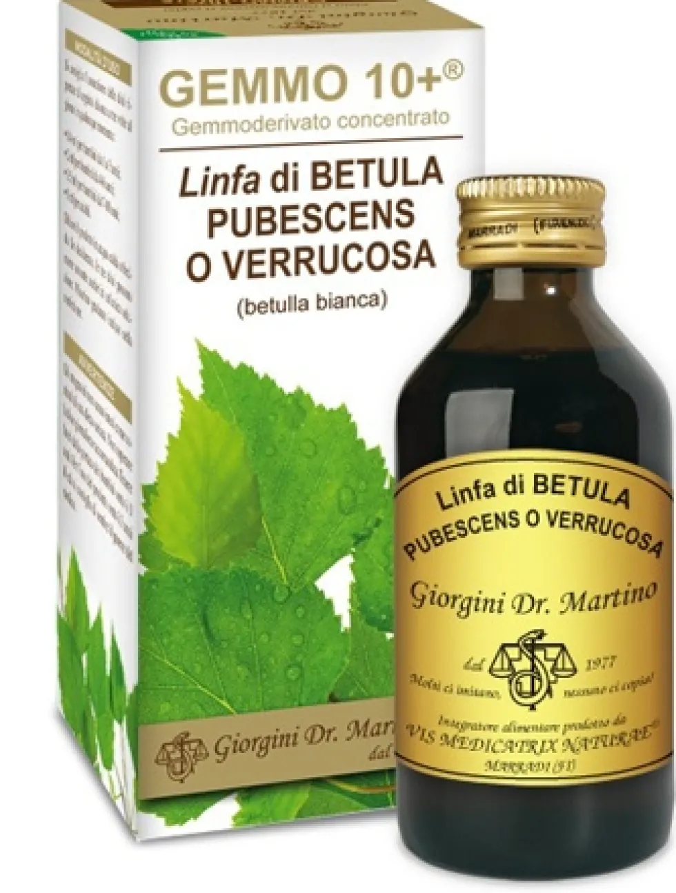 Dr.giorgini G10+ - Betulla Bianca Linfa Integratore Alimentare, 100ml
