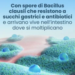 Enterogermina Adulti 6 Miliardi/2g Ripristino Flora Microbica Intestinale Somministrazione Senza Acqua, 9 Bustine