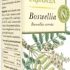 Erbamea Boswellia - Integratore alimentare per la funzionalità articolare e digestiva, 50 capsule