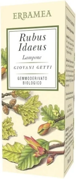 Erbamea Rubus idaeus Lampone Bio - Integratore alimentare riequilibrante, 50 ml