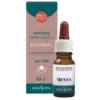 Erba Vita Oli Essenziali - Olio Essenziale Menta Intestino e Digestione, 10ml