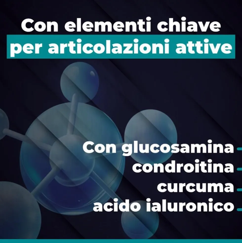 EthicSport Fluid Motion - Integratore per le cartilagini e i tessuti connettivi, 60 capsule