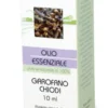 Farmaderbe Olio essenziale Garofano Chiodi - Olio con azione analgesica e digestiva, 10 ml