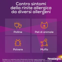 Fexallegra 120 mg - Antistaminico per la rinite allergica, 10 compresse