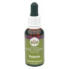 Green Remedies Australian Bush Flower Essences Solaris Essenze Floreali 30 ml