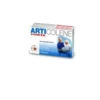 Gricar Articolene Forte Integratore Alimentare 60 Tavolette Da 700 mg