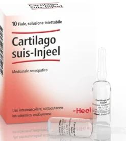 Guna Cartilago Suis-Injeel - Medicinale omeopatico per la funzionalità articolare, 10 fiale