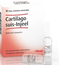 Guna Cartilago Suis-Injeel - Medicinale omeopatico per la funzionalità articolare, 10 fiale