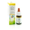 Guna Fiori Di Bach - White Chestnut 35 Concentrazione E Pace Gocce, 10ml