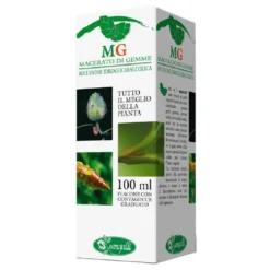 Ippocastano Sangalli - Macerato glicerinato per microcircolo e circolazione venosa, 100 ml