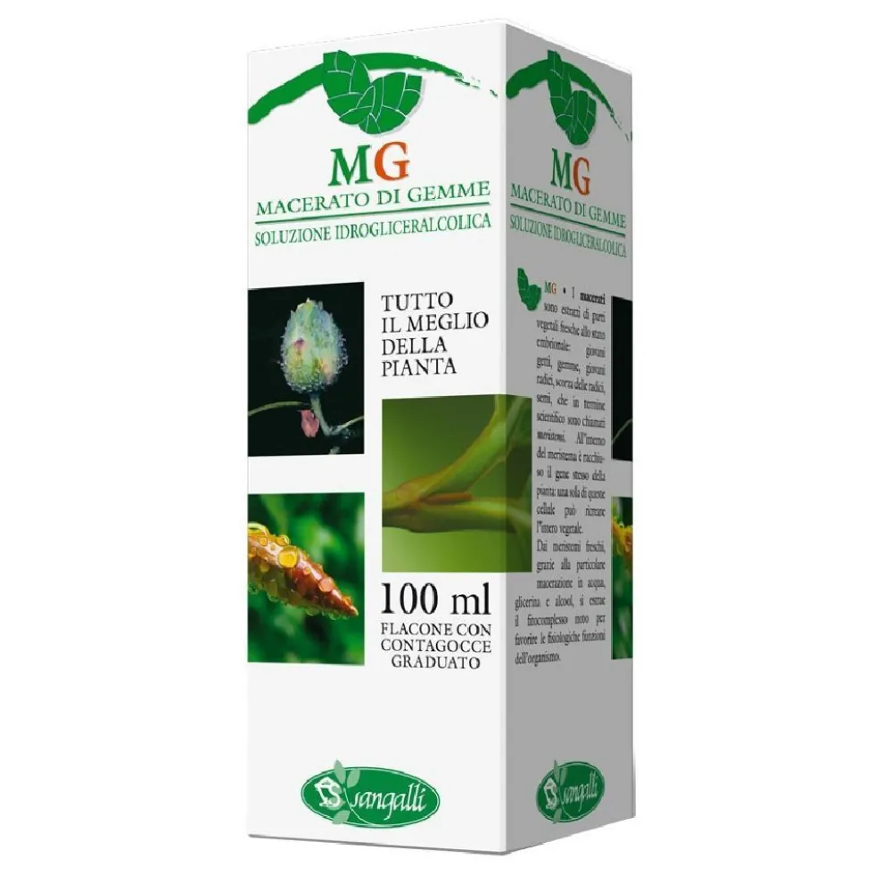 Ippocastano Sangalli - Macerato glicerinato per microcircolo e circolazione venosa, 100 ml