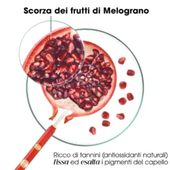 Klorane Melograno - Shampoo Capelli Colorati, 200ml