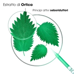 Klorane Ortica - Shampoo Seboriduttore per Capelli Grassi, 200ml