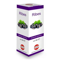 Kos Macerato Glicerico Ribes Nigrum - Integratore in gocce per il benessere di naso e gola, 100 ml