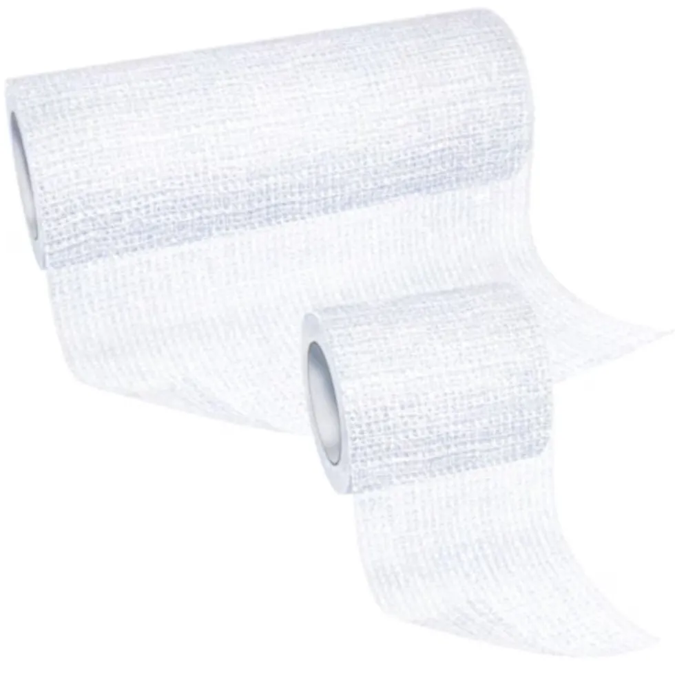 Leukoplast Elastomull Haft Benda Elastica Coesiva per il Fissaggio di Medicazioni Stecche e Cannule Misura 10cm x 20m, 1 Pezzo