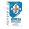 Magnesia S.Pell 90% Polvere per Sospensione Orale Magnesio Idrossido Senza Aroma Trattamento Stitichezza Occasionale e Antiacido, 100g