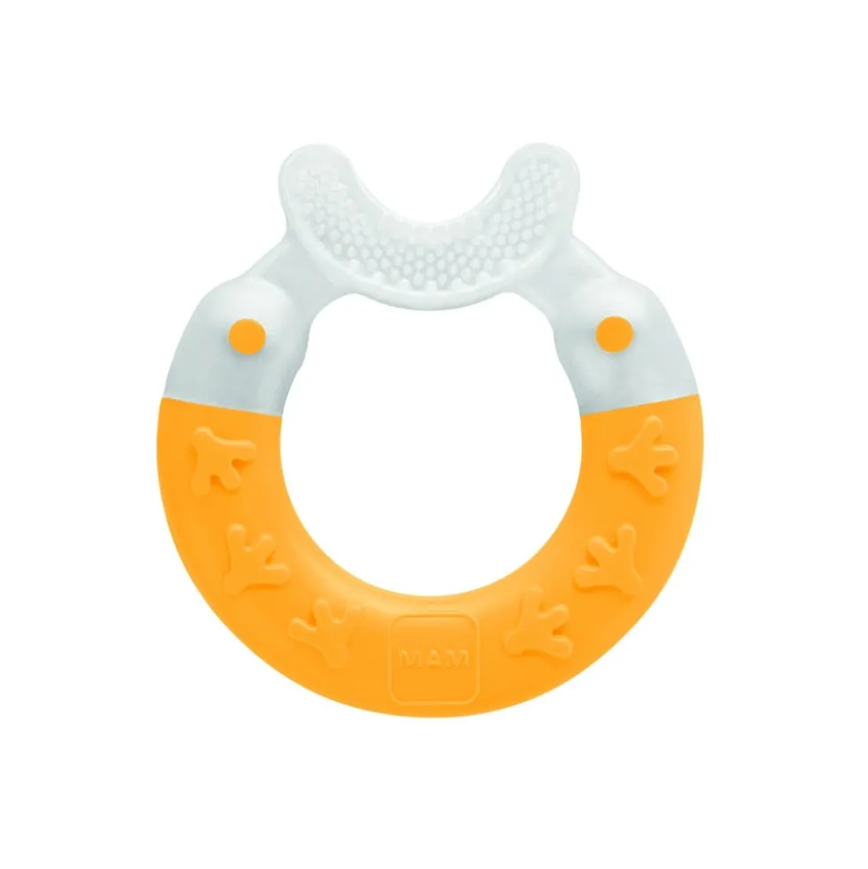 MAM Bite & Brush Dentaruolo per la Pulizia dei Denti Vari Colori, 1 Pezzo
