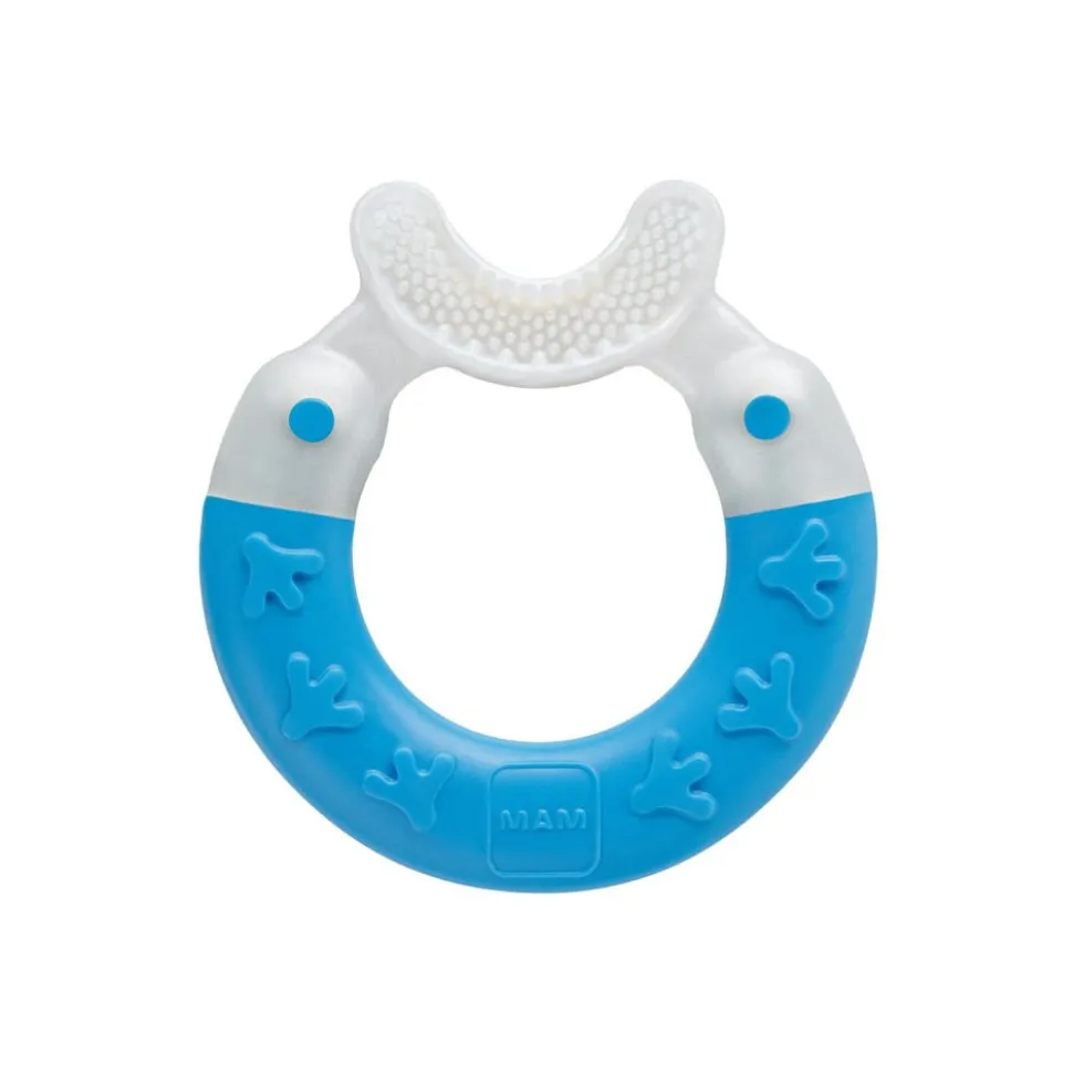 MAM Bite & Brush Dentaruolo per la Pulizia dei Denti Vari Colori, 1 Pezzo