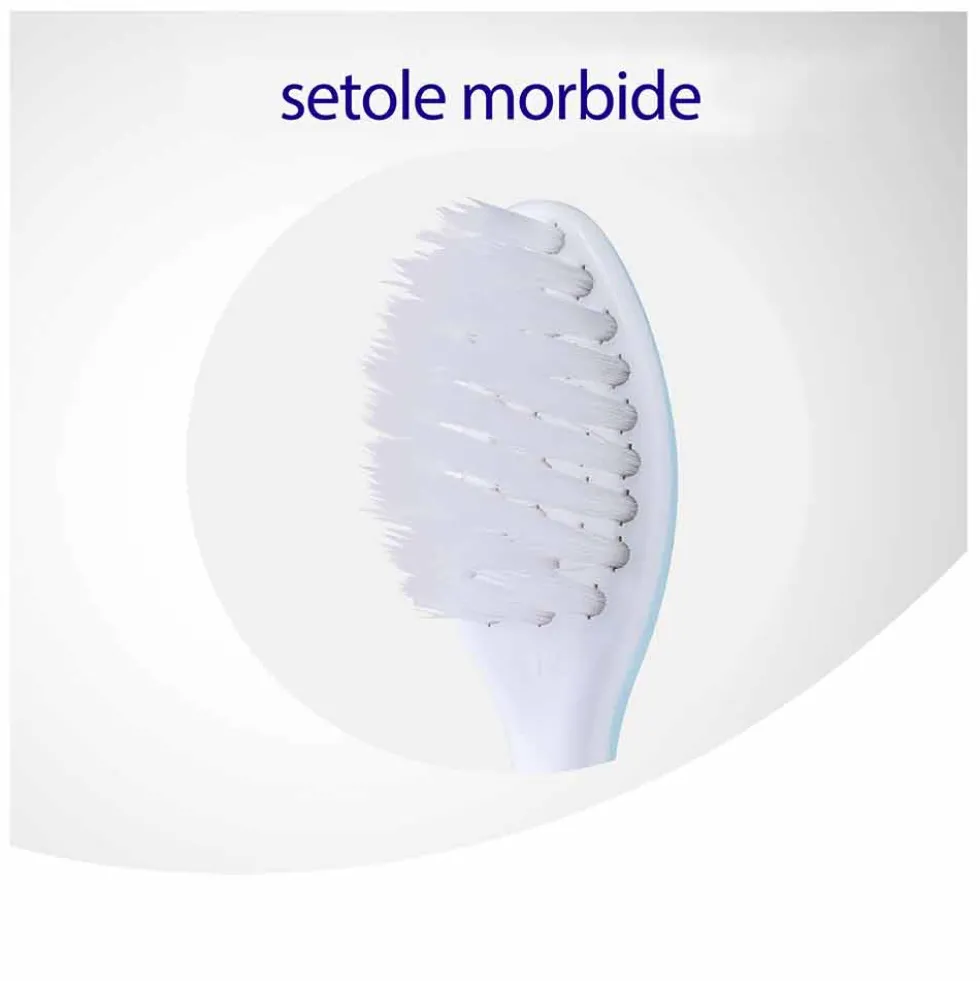 Meridol Spazzolino Protezione Gengive Morbido, 1 Pezzo