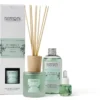 Neavita Nasoterapia Tè verde e bergamotto - Ricarica per diffusore a bastoncini per ambienti, 250 ml