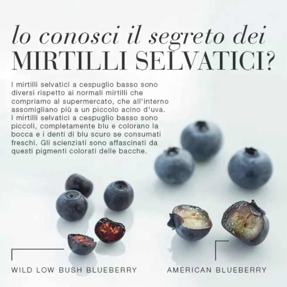New Nordic Blue Berry Integratore Benessere Vista, 60 Compresse