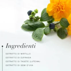 New Nordic Blue Berry Integratore Benessere Vista, 60 Compresse