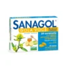 Phyto Garda Sanagol - Gola Voce Integratore al Miele e Limone, 24 Caramelle