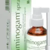 Professional Dietetics Spray Aminogam 15 Ml